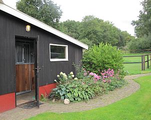 Bed And Breakfast Veluwe - Kamermetontbijt.nl